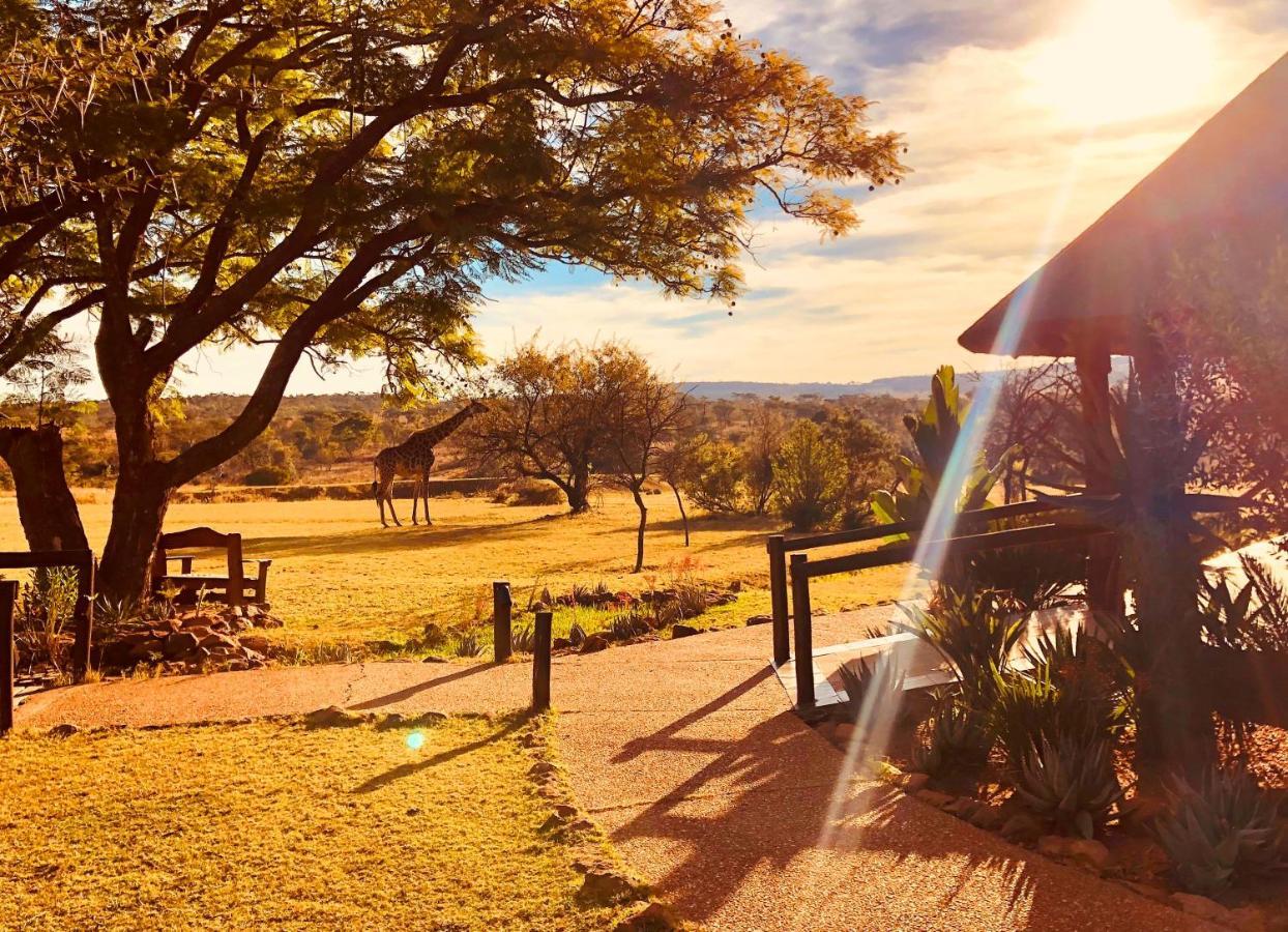Kololo Game Reserve فالووتر المظهر الخارجي الصورة
